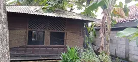 Tanah produktif untuk petani pemula