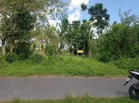 Dijual Tanah Sangat Murah di Kemudo, Prambanan, Klaten