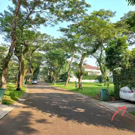 Rumah Cluster Taman Dipenogoro Lippo Karawaci