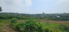 tanah kebun bumiaji giripurno batu bonus 450 pohon jeruk bagus invest