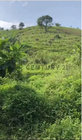 Dijual Tanah Di Sentul Hambalang Bogor