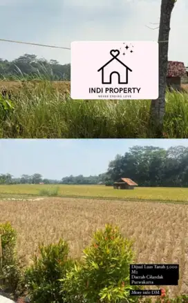 di jual sawah produktif pinggir jalan di Cilandak Purwakarta