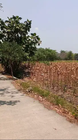Tanah ZONA INDUSTRI Ploso Jombang