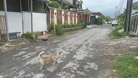 jual tanah lokasi jln tukad badung