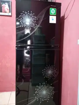 Kulkas Sharp 2 pintu