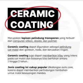 PROFESSIONAL COATING & PPF