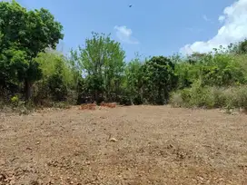Tanah Murah untuk Resort Wisata Nusa Dua