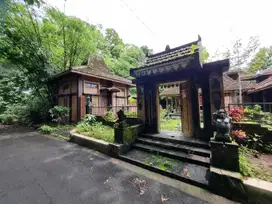 JUAL CEPAT RUMAH JOGLO TANAH LUAS SHM DI MINGGIR SLEMAN