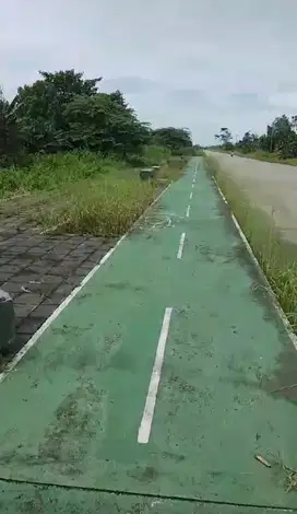 Jual Tanah di Kab.Sorong Jln.Parawisa 14 Hektar