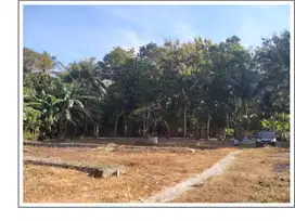 Di Tanah Dekat Bandara YIA Kulonprogo Wates