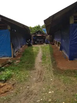 JUAL  TANAH  DAN  KANDANG  STRATEGIS GN SINDUR