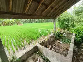 Di Jual Tanah Kemenuh view sawah dan Sunset