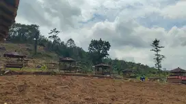 Investasi Tanah di Bogor Hanya 1,5 Jam dari Jakarta