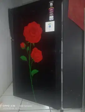 Kulkas Polytron 1 pintu