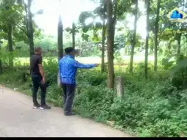 Di jual Tanah di Palasari Legok Tangerang