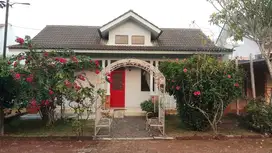 DIJUAL VILLA PARUNG LT 3100 & 4 UNIT BGN  350 BOGOR - JAKBAR