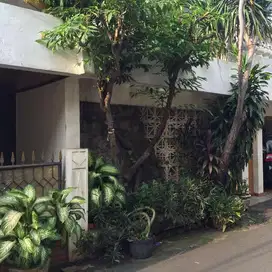 Dijual Rumah Tinggal Besar di Patal Senayan Jakarta Selatan