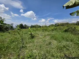 Zona Permukiman Area Naik 30% Pertahun, Zona Komersil 30%