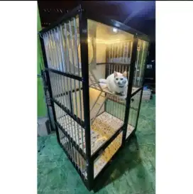 Kandang Kucing Kuwat & kokoh