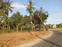 Tanah Moyudan, 9 Menit Bakal RSA UKDW, Akad di Notaris