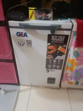 FREZER BOX GEA kapasitas 100L