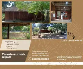 Rumah Jati Tua Langka Istimewa