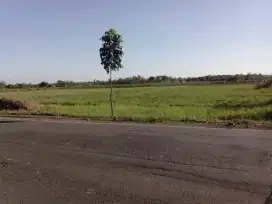 TANAH INDUSTRI MURAH UJUNGJAYA