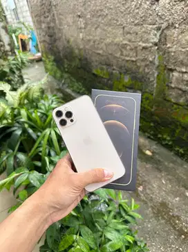 Iphone 12 Pro Max 128 Beacukai