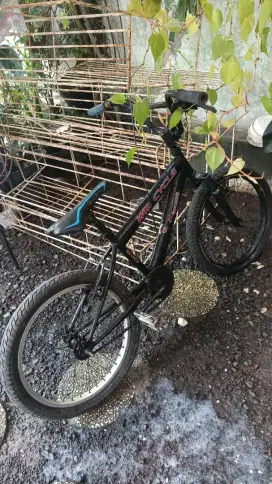 Dijual Sepeda Anak win cycle 20inch