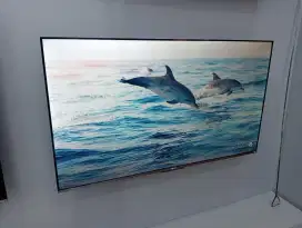 Segampang Itu Cicilan TV Xiaomi A Pro 55 Cukup KTP Saja