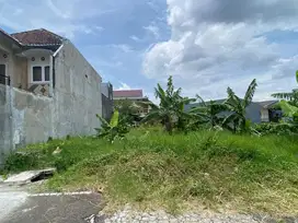 Tanah di Bunga Pinang Merah Merak Andong Semanggi Bagus Utk Kost