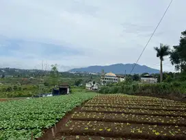 Tanah di Ngamprah, Strategis Dekat Kantor Pemda KBB Sudah SHM