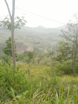 Tanah di Cikande Bandung Barat, Area Nyaman Siap Bangun