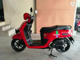 Fazio 2024 low KM.