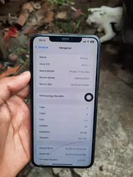 Iphone 11 Pro Max 64gb IBOX