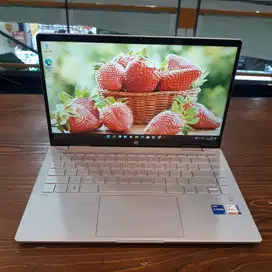 Hp Pavilion x360 Gen 12 8/512