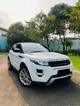 RARE RANGE ROVER EVOQUE SPORT RECARO EDITION DYNAMIC LUXURY ANTIK JOSS
