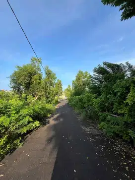 Jual Tanah Murah Di Kutuh Alas Arum Nusa Dua  Bali.Pandawa,Uluwatu