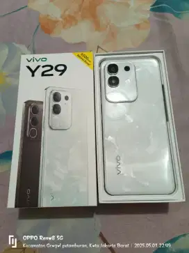 Hp vivo y29 8+8 128