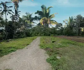 Lahan Untuk Hunian Timur RS Indriati Boyolali