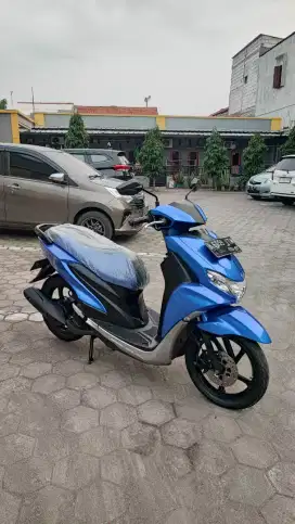 FREEGO MURAH GRESS READY