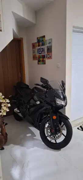 Ninja 250 karbu
