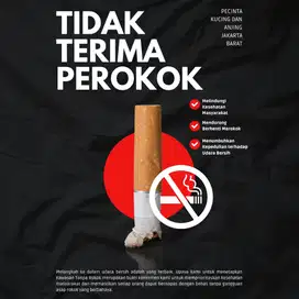 KENNEL BOY ASAL NTT