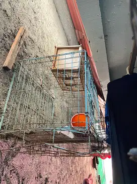 Jual Cepat Kandang Kucing Masih kekar