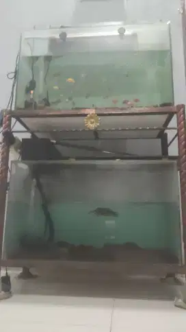 Hiasan rumah aquarium Dan rak aquarium