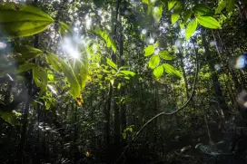 Jual Cepat Tanah Murah di Lokasi Berkembang