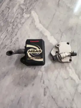 Hsas Ninja R/SS/RR 150