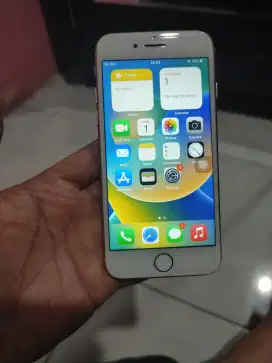 Iphone 8 256GB ex Indo, all operator