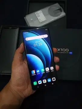Vivo X100 12/256