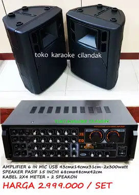 speaker + amplifier
